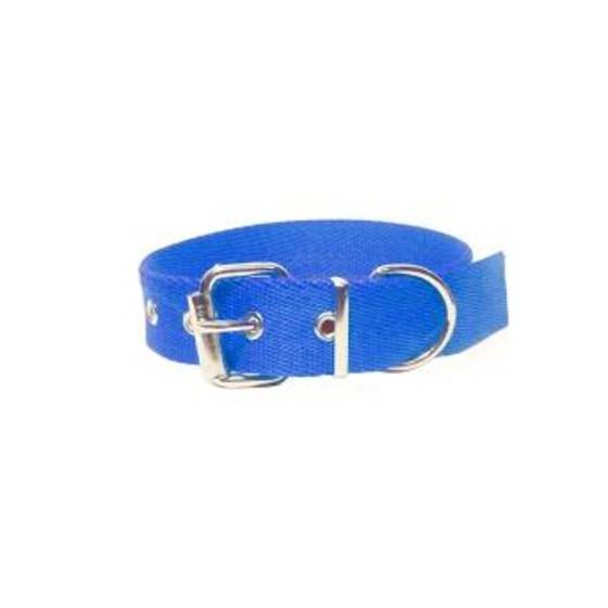 Collar Para Perro Nº 0