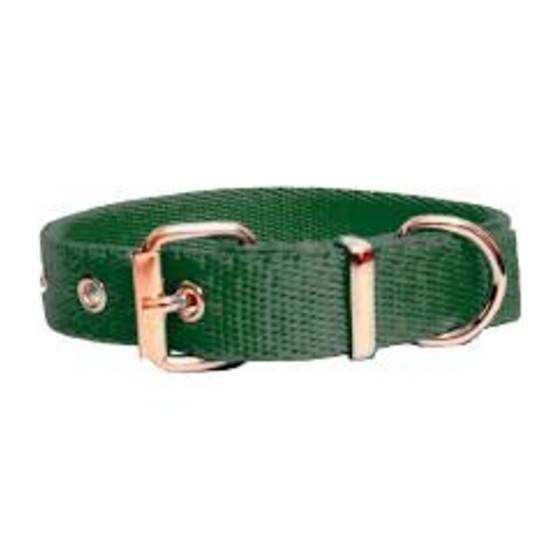 Collar Para Perro Nº 2