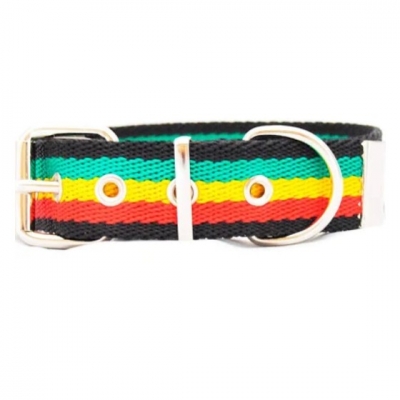 Collar Para Perro Nº 3