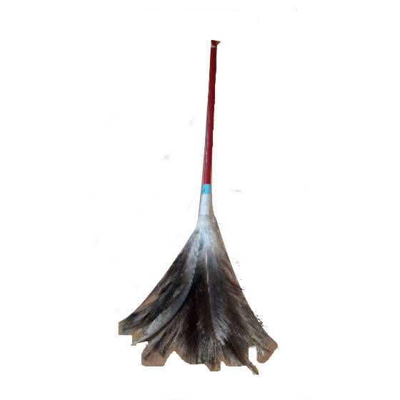 Plumero Cabo Rojo
